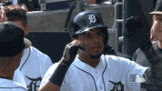 Sport Reaction GIF by Detroit Tigers