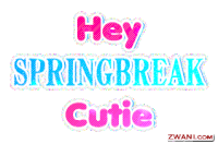 spring break Sticker