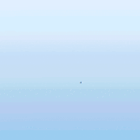 Limpeza GIF by Proeza