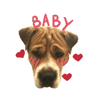 Love Dogs Dog Sticker