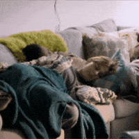 Moe Wouter GIF by BNNVARA