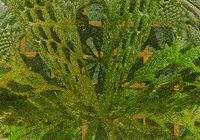 3d forest GIF by The NGB