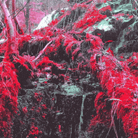 Art Loop GIF by dualvoidanima