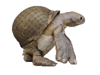 War Turtle Sticker