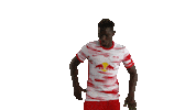Lets Go Football Sticker by RB Leipzig