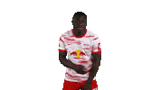 No Problem Football Sticker by RB Leipzig