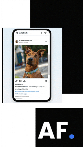 South Africa Dog GIF by A Reason To Feel