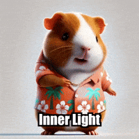 Inner Light Peace GIF by Guinea Gambino