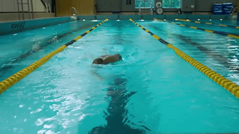 fitness swimming GIF by Western Illinois University
