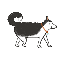 Siberian Husky Dog Sticker by Sarah Kurpiel