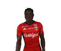 Ligue 2 Football Sticker by EA Guingamp
