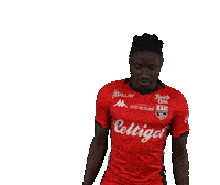 Ligue 2 Football Sticker by EA Guingamp