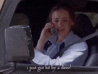 season 1 netflix GIF by Gilmore Girls 