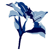 Flower Sticker
