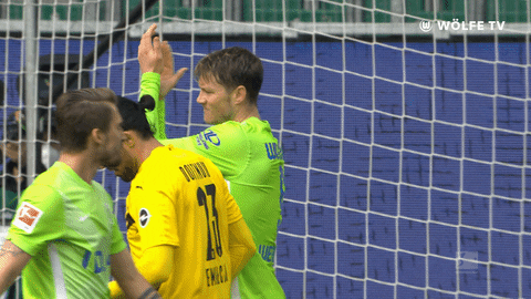 Well Done Applause GIF by VfL Wolfsburg