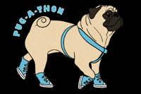 pugrescueaustin pug pra pugrescueofaustin pugathon GIF