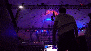 Video Games Game GIF by Global Esports