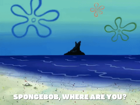 season 6 GIF by SpongeBob SquarePants