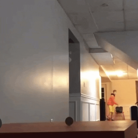 laniewoods giphygifmaker GIF