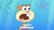 episode 1 GIF by SpongeBob SquarePants