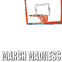 College Basketball Win Sticker by Pudgy Penguins