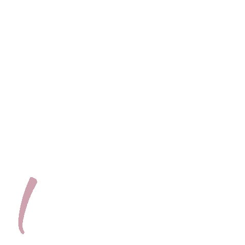 Pink Arrow Sticker by jenny henderson studio