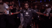 Mixed Martial Arts Sport GIF by UFC