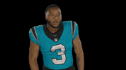 North Carolina Oh Snap GIF by Carolina Panthers