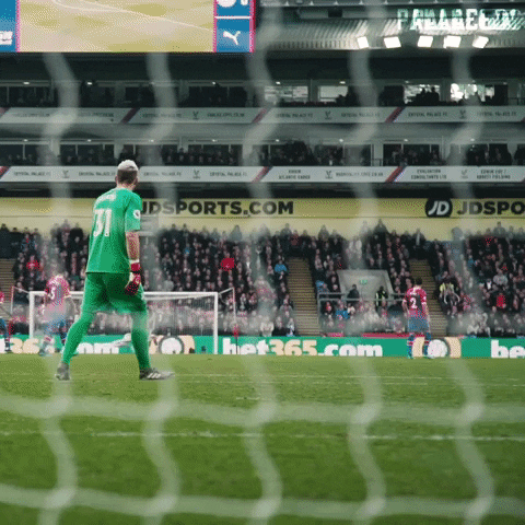 Premier League Football GIF by CPFC