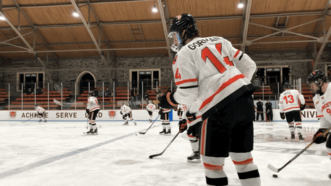 PrincetonAthletics giphyupload hockey princeton princetontigers GIF