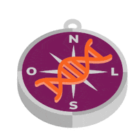 Travel Viajar Sticker by Genera