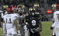 Eagles Ak GIF by UCF Knights