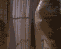 sex cheezburger safe condoms GIF