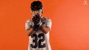 Uvamenslax GIF by Virginia Athletics