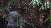 Axe Dirt Work GIF by JC Property Professionals