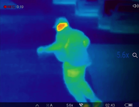 jouvert GIF by BROCKHAMPTON