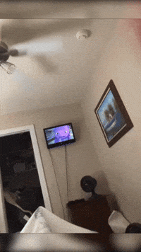 Alwayzbratz GIF by Flickplay