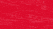 nycDSA solidarity socialism nycdsa nyc dsa GIF