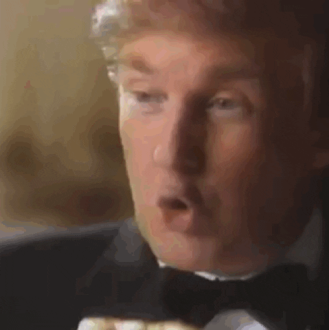 donald trump GIF