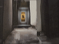 Footage Oaf GIF by jorgemariozuleta