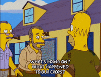homer simpson episode 6 GIF