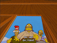 homer simpson episode 6 GIF