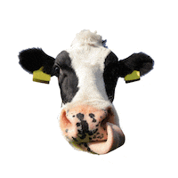 WLV_Landwirtschaftsverband farmer farming landwirtschaft mais Sticker
