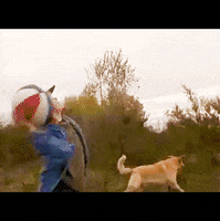air bud GIF