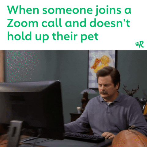 GIF by Rover.com