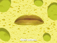 season 4 enemy in-law GIF by SpongeBob SquarePants