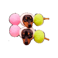 Dog Sticker