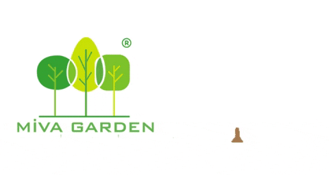 miva_garden giphygifmaker giphyattribution design garden GIF