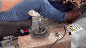 Car Racing Golf GIF by 24 Hours Of Lemons