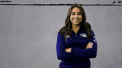 NevadaWolfPack swim dive wolfpack nevada GIF